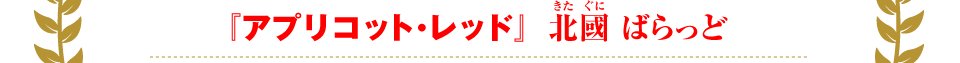 『アプリコット・レッド』北國 ばらっど