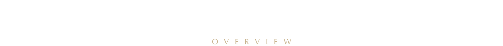 概要